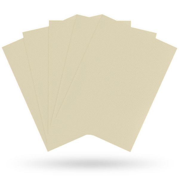 Dragon Shield: Matte – Ivory (100)